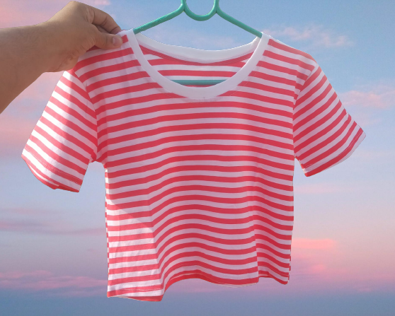 hungry threads special crop top (red stripped)